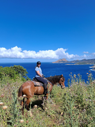 Reiterferien Korsika